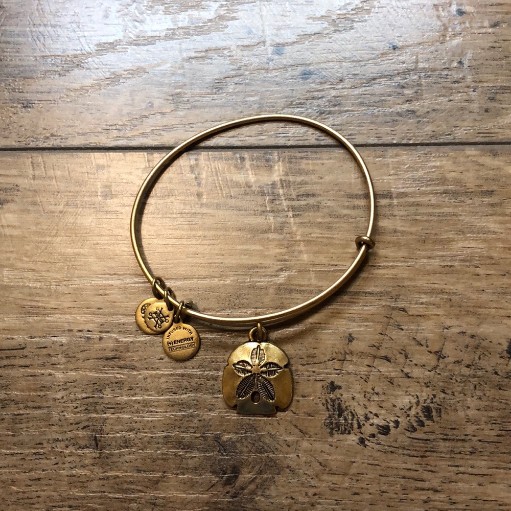 Alex and Ani Sand Dollar Charm Bracelet